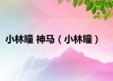 小林瞳 神马（小林瞳）