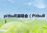 pitbull演唱会（Pitbull）
