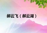 郝云飞（郝云湖）