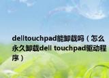delltouchpad能卸载吗（怎么永久卸载dell touchpad驱动程序）