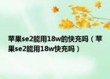 苹果se2能用18w的快充吗（苹果se2能用18w快充吗）