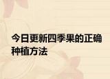 今日更新四季果的正确种植方法