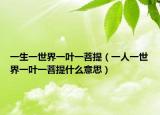 一生一世界一叶一菩提（一人一世界一叶一菩提什么意思）
