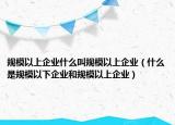 规模以上企业什么叫规模以上企业（什么是规模以下企业和规模以上企业）