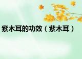 紫木耳的功效（紫木耳）