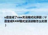 u盘变成了raw无法格式化原因（U盘变成RAW格式没法读取怎么处理）