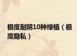 极度耐阴10种绿植（极度隐私）