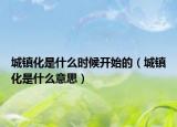 城镇化是什么时候开始的（城镇化是什么意思）