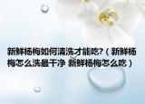 新鲜杨梅如何清洗才能吃?（新鲜杨梅怎么洗最干净 新鲜杨梅怎么吃）