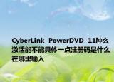 CyberLink  PowerDVD  11肿么激活能不能具体一点注册码是什么在哪里输入
