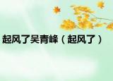 起风了吴青峰（起风了）