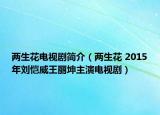 两生花电视剧简介（两生花 2015年刘恺威王丽坤主演电视剧）