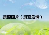 灵药图片（灵药危情）