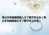 笔记本电脑键盘输入不了数字怎么办（笔记本电脑键盘打不了数字怎么处理）