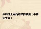 牛腩炖土豆西红柿的做法（牛腩炖土豆）