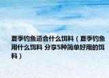 夏季钓鱼适合什么饵料（夏季钓鱼用什么饵料 分享5种简单好用的饵料）