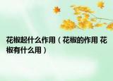 花椒起什么作用（花椒的作用 花椒有什么用）