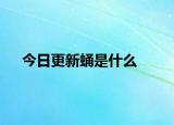 今日更新蛹是什么