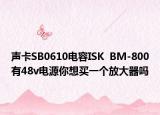 声卡SB0610电容ISK  BM-800有48v电源你想买一个放大器吗