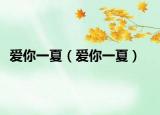 爱你一夏（爱你一夏）