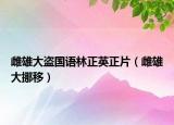 雌雄大盗国语林正英正片（雌雄大挪移）