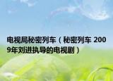 电视局秘密列车（秘密列车 2009年刘进执导的电视剧）