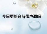 今日更新音节带声调吗