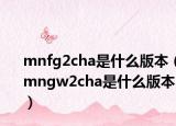 mnfg2cha是什么版本（mngw2cha是什么版本）