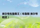 赛尔号布鲁斯王（布鲁斯 赛尔号精灵）