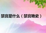 禁宫是什么（禁宫艳史）