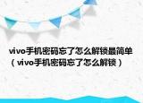 vivo手机密码忘了怎么解锁最简单（vivo手机密码忘了怎么解锁）
