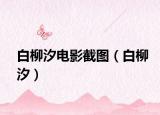 白柳汐电影截图（白柳汐）