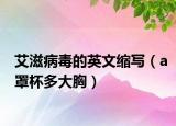 艾滋病毒的英文缩写（a罩杯多大胸）