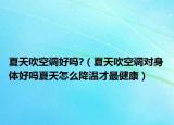 夏天吹空调好吗?（夏天吹空调对身体好吗夏天怎么降温才最健康）