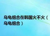 乌龟组合在韩国火不火（乌龟组合）