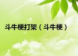 斗牛梗打架（斗牛梗）