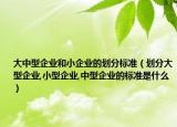 大中型企业和小企业的划分标准（划分大型企业,小型企业,中型企业的标准是什么）