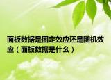 面板数据是固定效应还是随机效应（面板数据是什么）