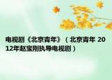 电视剧《北京青年》（北京青年 2012年赵宝刚执导电视剧）