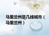 马里兰州是几线城市（马里兰州）