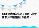 DNF野猪图怎么刷（dnf中,假野猪怎么样开图要什么任务）