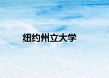 纽约州立大学
