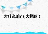 大什么响?（大槻响）