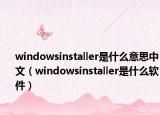 windowsinstaller是什么意思中文（windowsinstaller是什么软件）