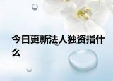 今日更新法人独资指什么
