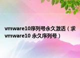vmware10序列号永久激活（求vmware10 永久序列号）