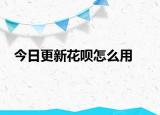 今日更新花呗怎么用