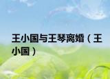 王小国与王琴离婚（王小国）
