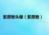 紫原敦头像（紫原敦）