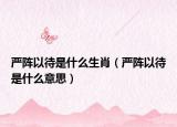 严阵以待是什么生肖（严阵以待是什么意思）